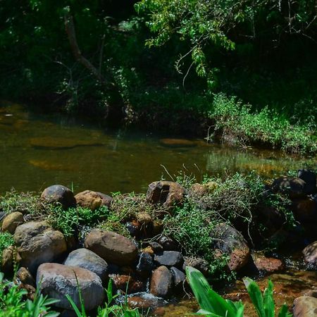 Ohiya Forest Lodge المظهر الخارجي الصورة