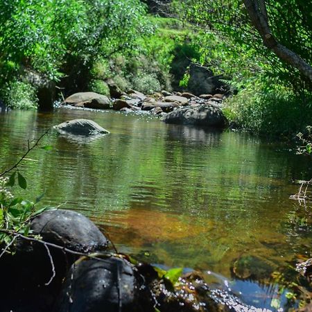 Ohiya Forest Lodge المظهر الخارجي الصورة