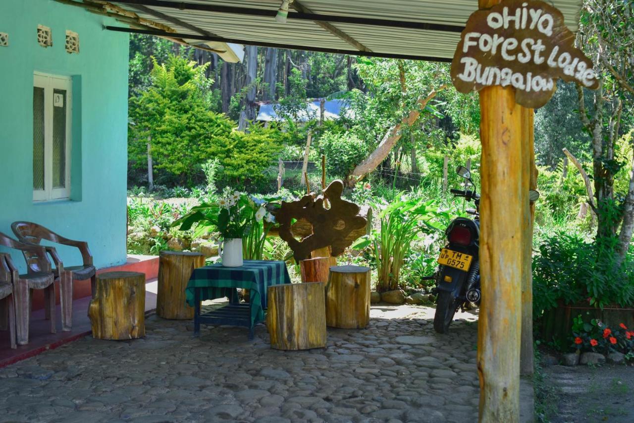 Ohiya Forest Lodge المظهر الخارجي الصورة