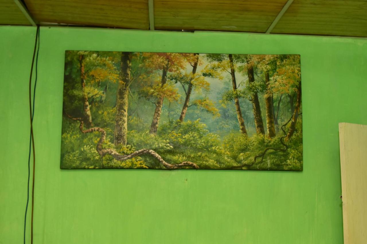 Ohiya Forest Lodge المظهر الخارجي الصورة
