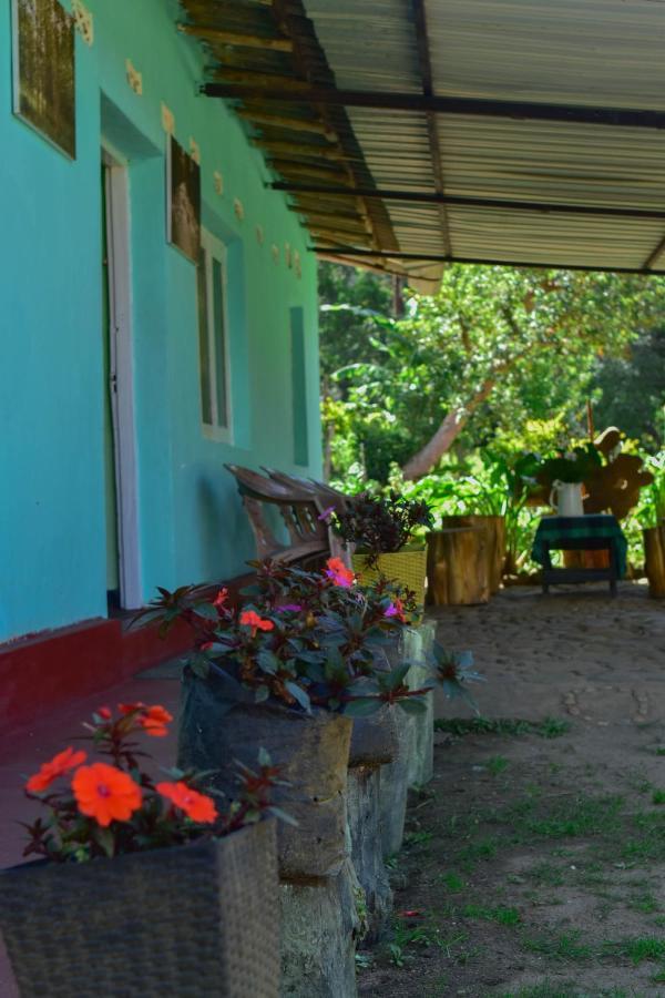 Ohiya Forest Lodge المظهر الخارجي الصورة