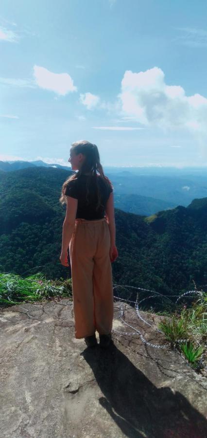 Ohiya Forest Lodge المظهر الخارجي الصورة