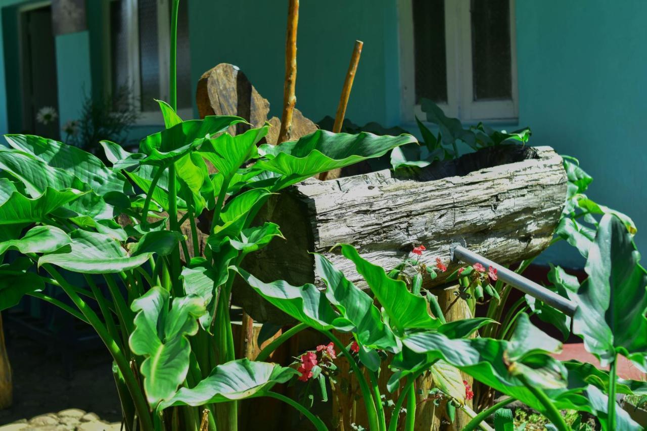 Ohiya Forest Lodge المظهر الخارجي الصورة