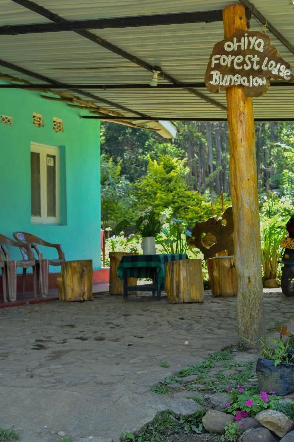 Ohiya Forest Lodge المظهر الخارجي الصورة