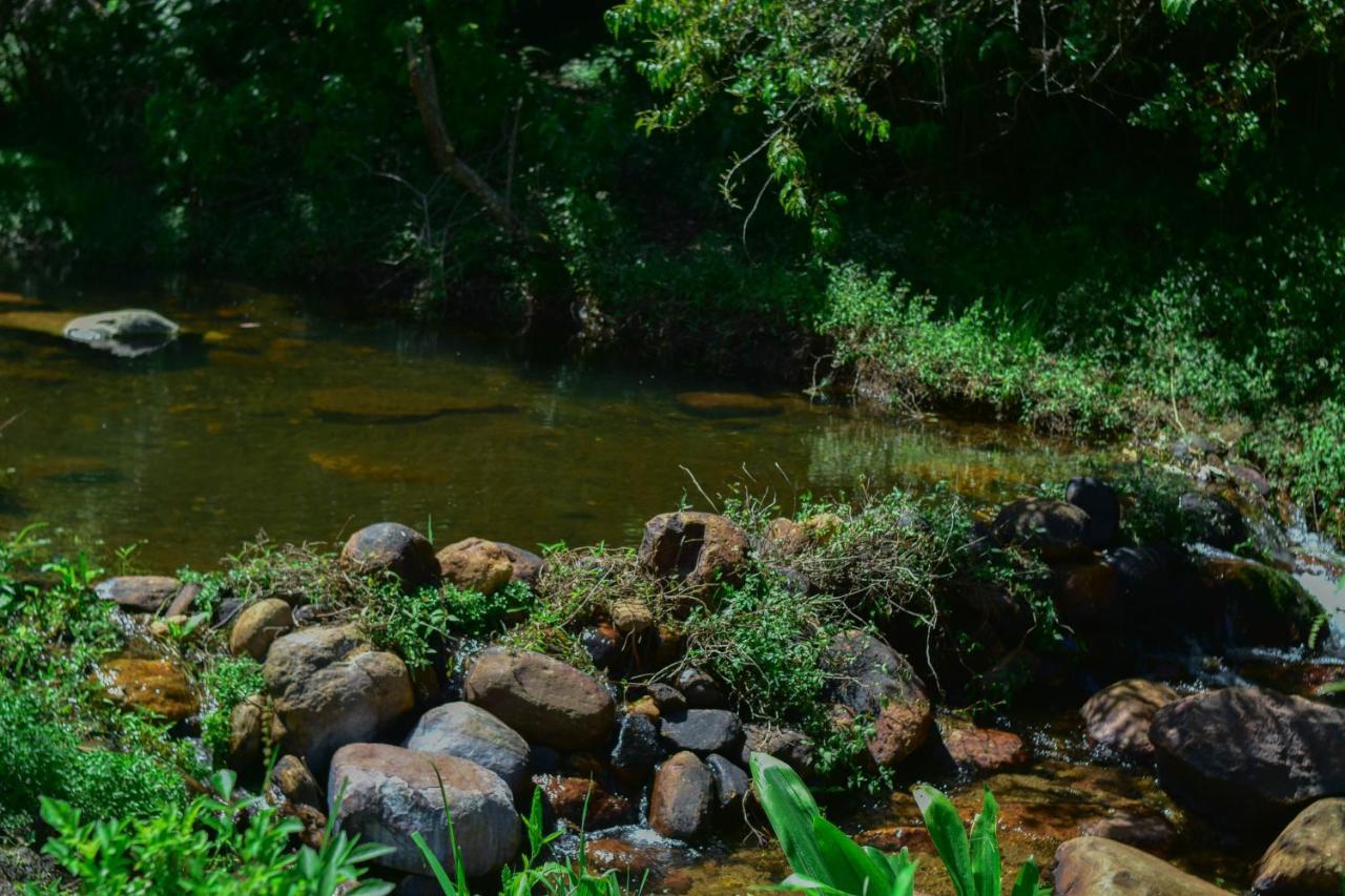 Ohiya Forest Lodge المظهر الخارجي الصورة