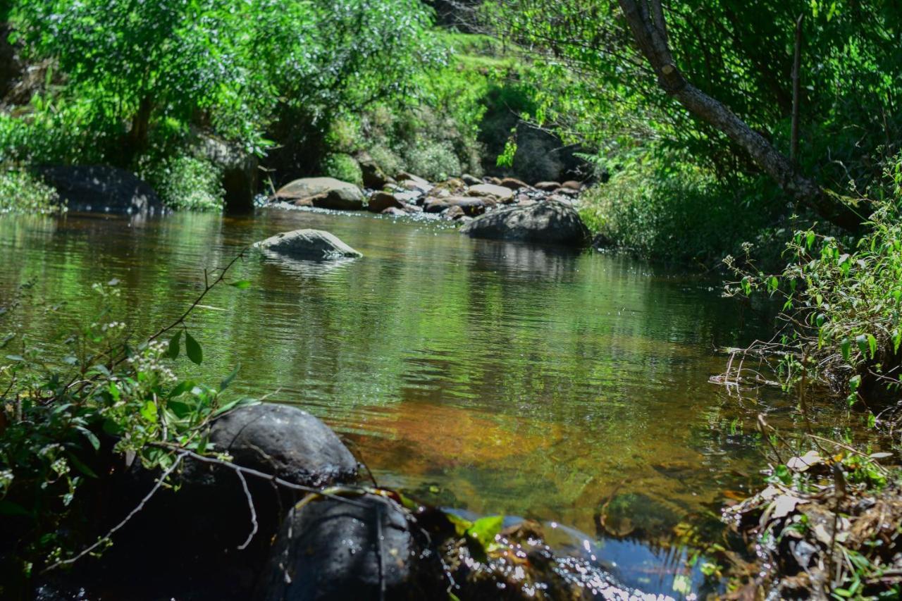 Ohiya Forest Lodge المظهر الخارجي الصورة