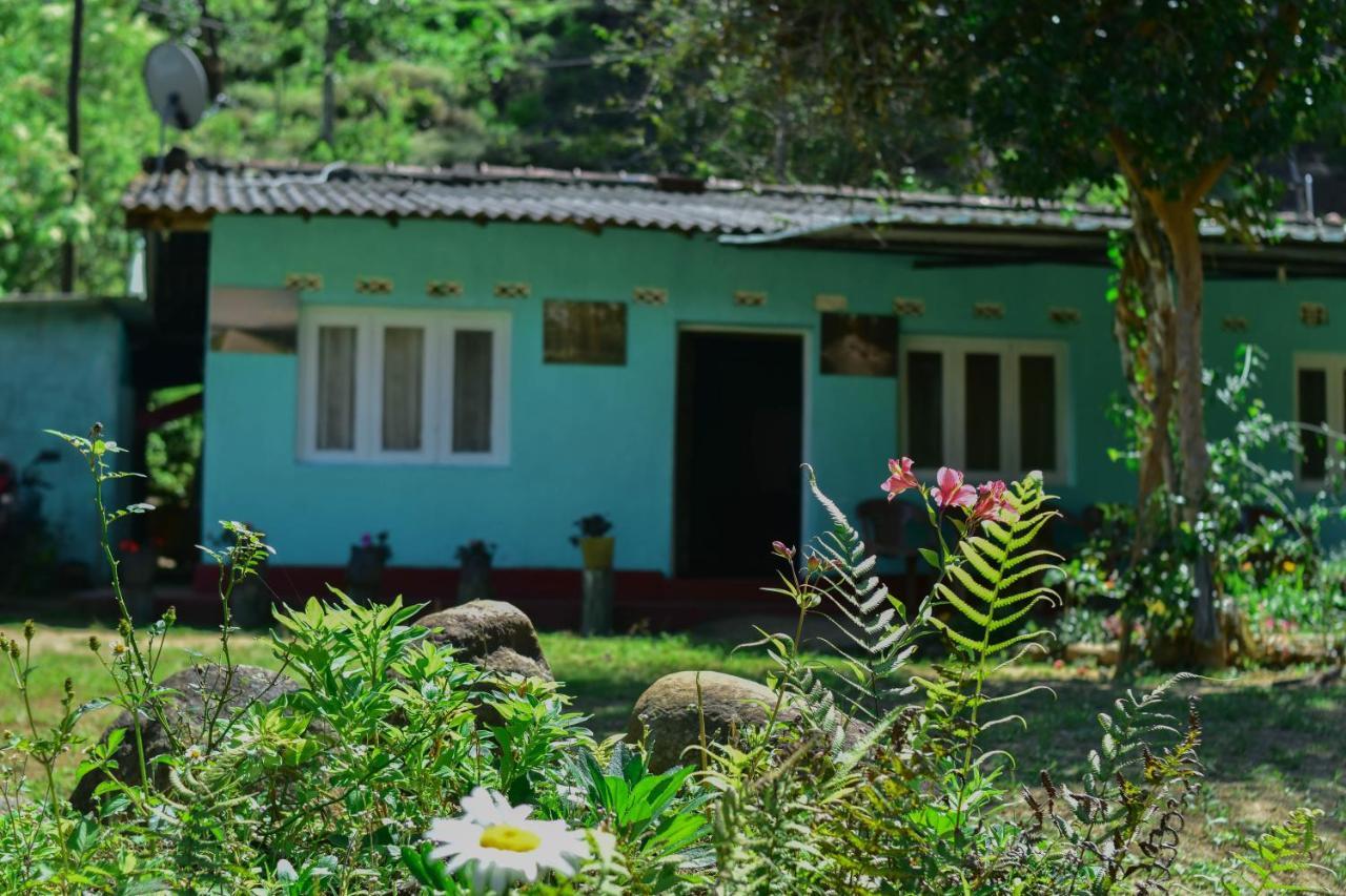 Ohiya Forest Lodge المظهر الخارجي الصورة