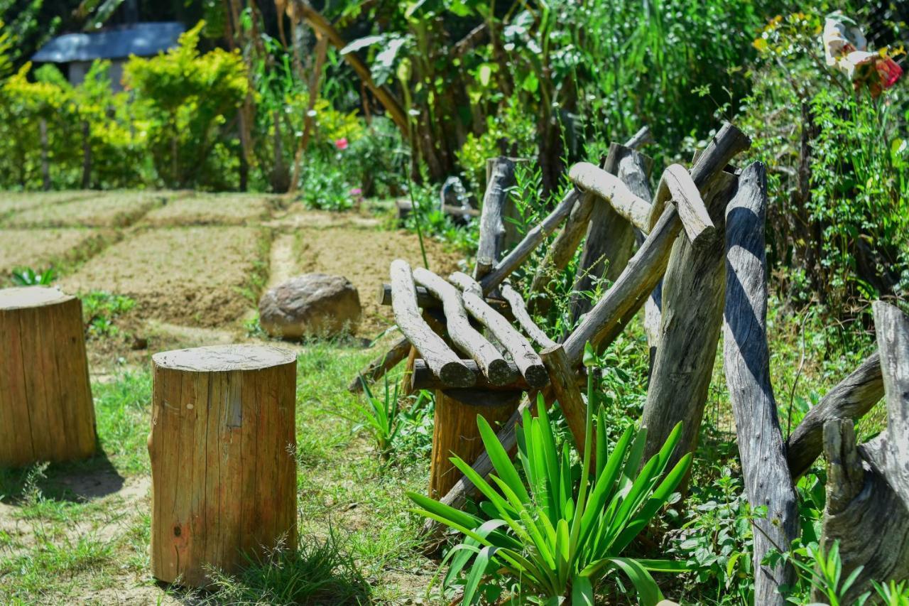 Ohiya Forest Lodge المظهر الخارجي الصورة