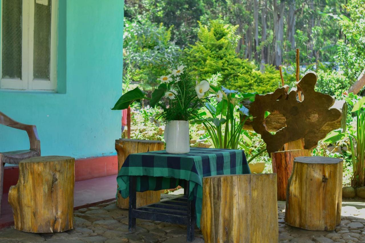Ohiya Forest Lodge المظهر الخارجي الصورة