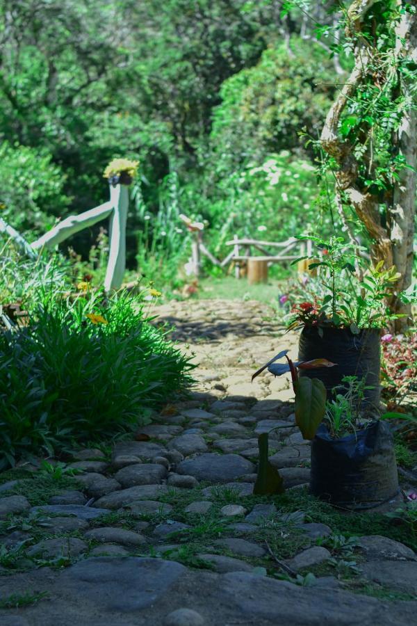 Ohiya Forest Lodge المظهر الخارجي الصورة