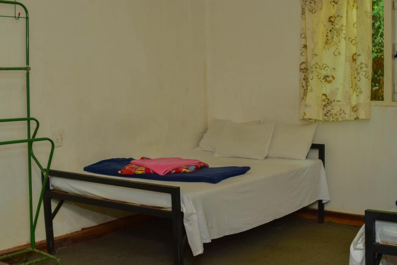 Ohiya Forest Lodge المظهر الخارجي الصورة