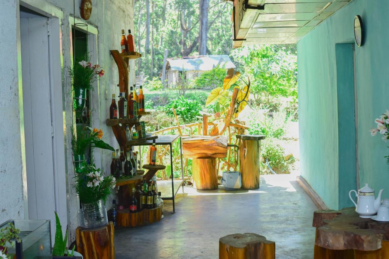Ohiya Forest Lodge المظهر الخارجي الصورة